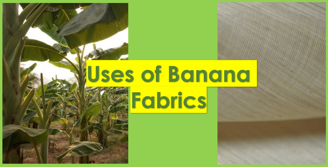 Various use of banana fabrics and banana fiber Various use of banana fabrics and banana fiber