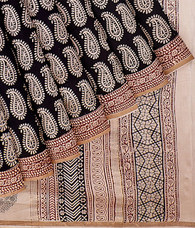 Bagh print on Chanderi saree
