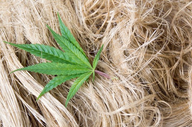 Hemp fabric