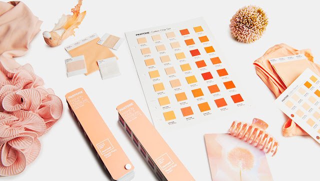 Peach Fuzz Color of the year 2024