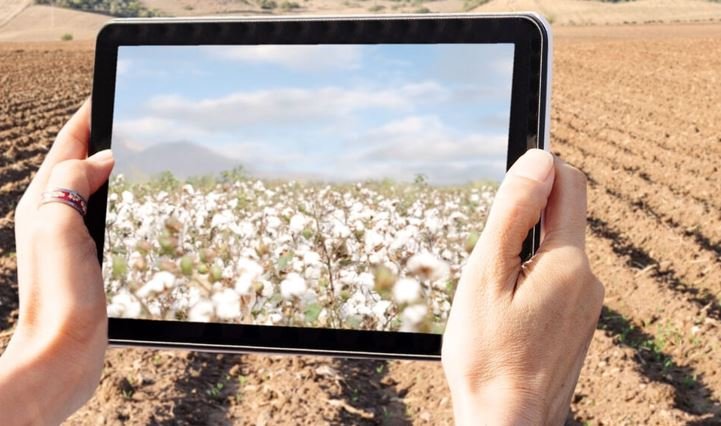 Cotton traceability Cotton traceability