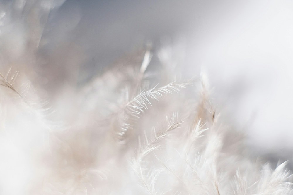 Feather textile quality control