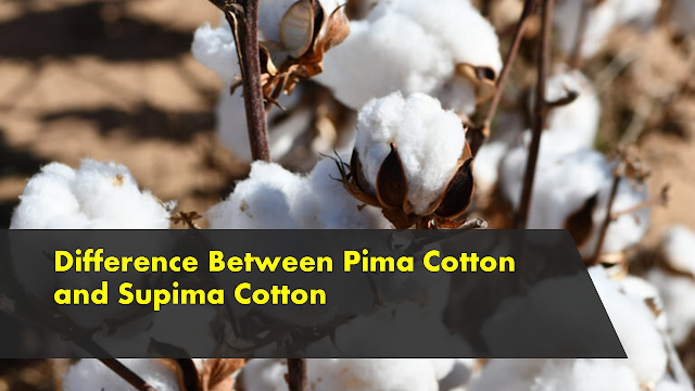 Pima and Supima cotton